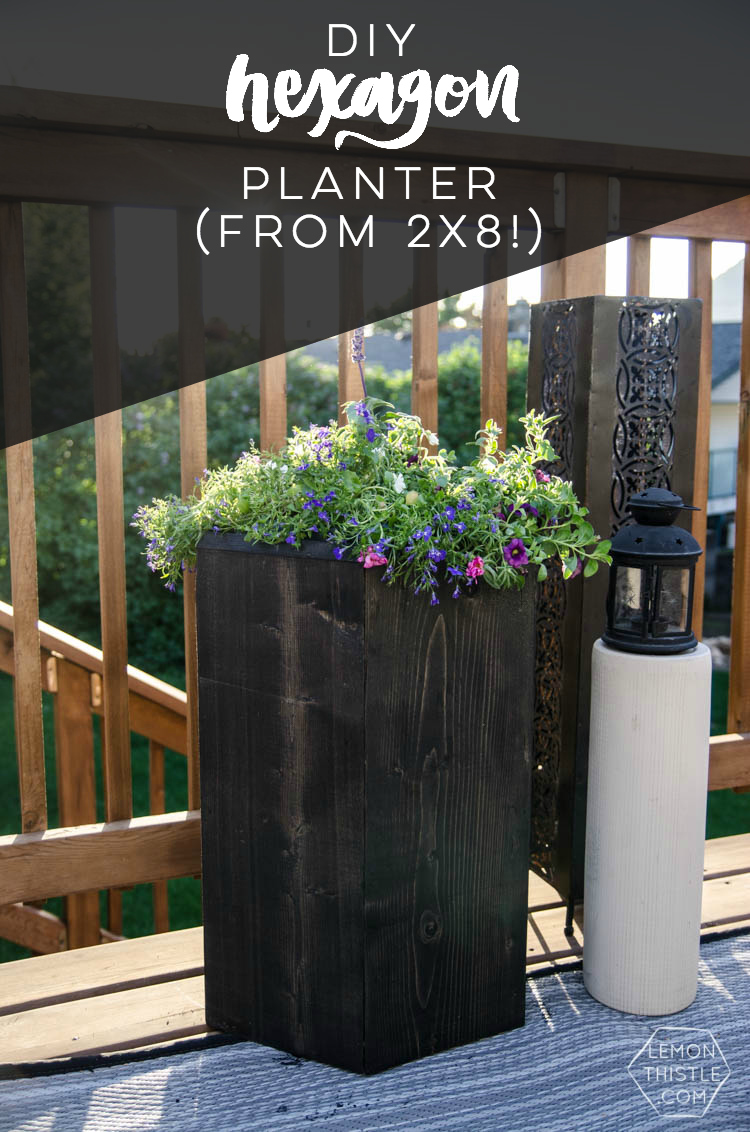 One Board DIY Hexagon Planter Lemon Thistle