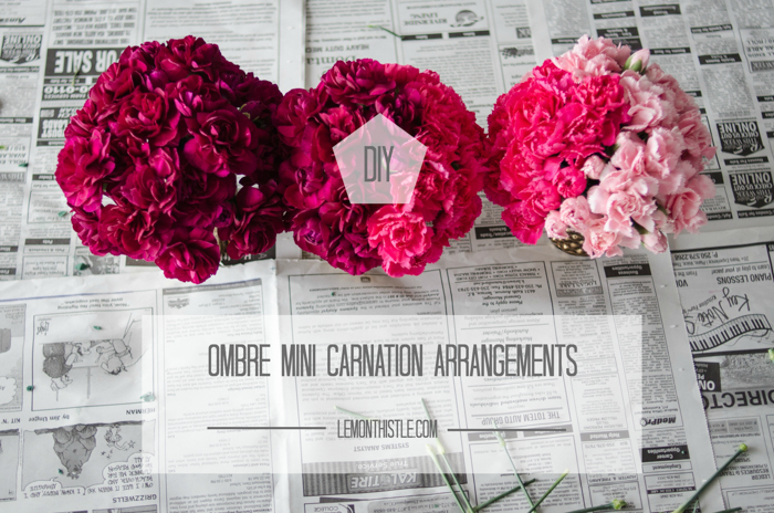 DIY Mini Carnation Arrangement - lemonthistle.com