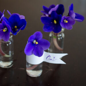 DIY Mini Violet Arrangement - lemonthistle.com