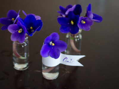 DIY Mini Violet Arrangement - lemonthistle.com