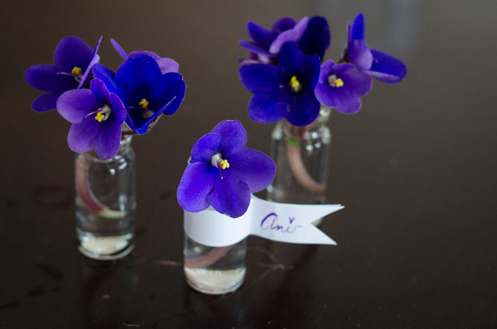 DIY Mini Violet Arrangement - lemonthistle.com