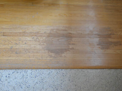 Hardwood Damage Before - lemonthistle.com