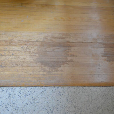 Hardwood Damage Before - lemonthistle.com