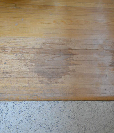 Hardwood Damage Before - lemonthistle.com