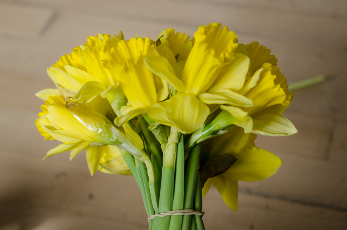March Floral - lemonthistle.com