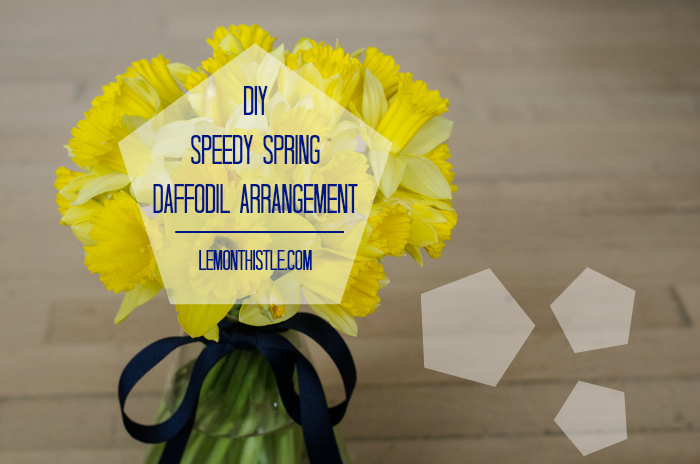 DIY Spring Daffodil Arrangement - lemonthistle.com
