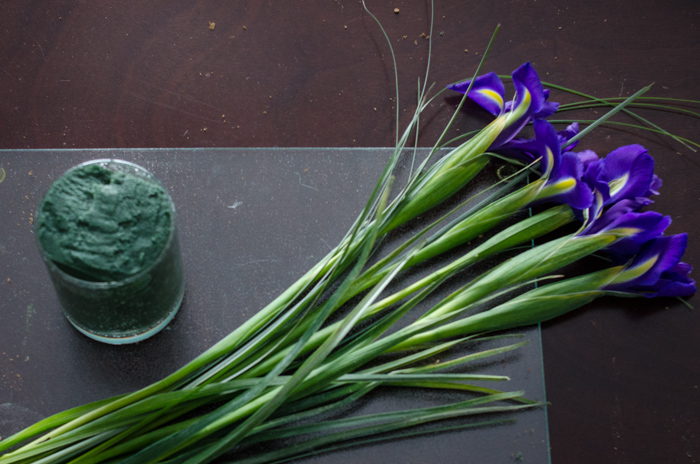 DIY Spring Iris Arrangement - lemonthistle.com