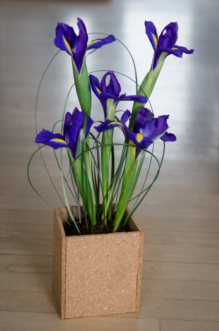 DIY Spring Iris Arrangement - lemonthistle.com