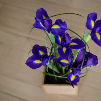 DIY Spring Iris Arrangement - lemonthistle.com