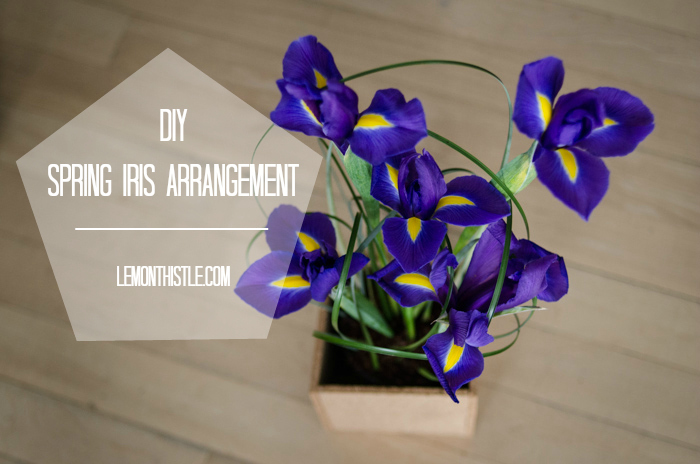 DIY Spring Iris Arrangement - lemonthistle.com