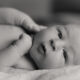 Newborn Love: Henley - lemonthistle.com