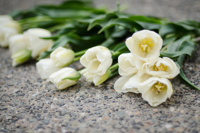 DIY Tulip Arrangement for Spring - lemonthistle.com