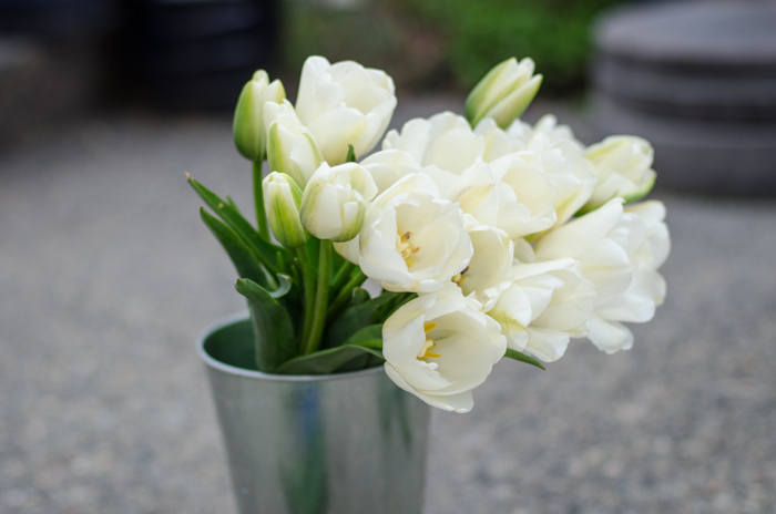 DIY Tulip Arrangement for Spring - lemonthistle.com