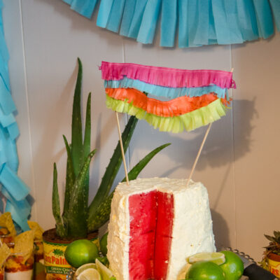 A Fiesta Baby Shower! - lemonthistle.com
