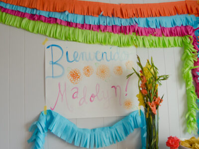 DIY Frugal Fringe Garland for a Fiesta! -lemonthistle.com