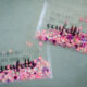 SO CUTE! DIY Translucent Confetti Packets - lemonthistle.com