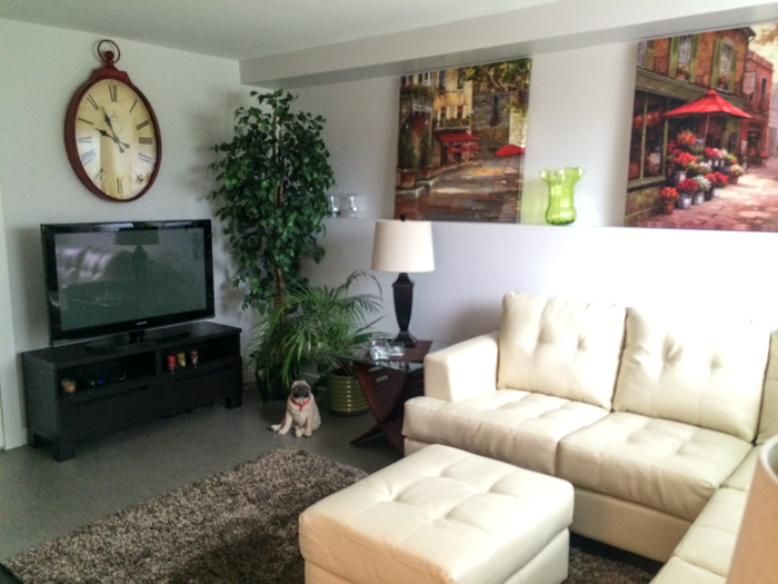 Junk Room to Basement Suite