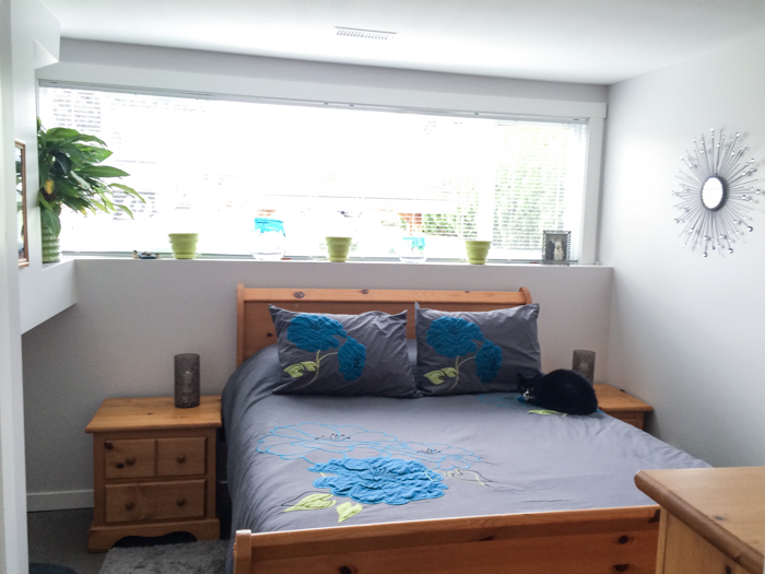 Junk Room to Basement Suite