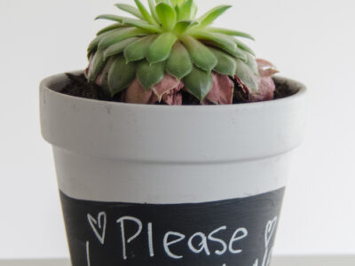How fun are these!? DIY Chalkboard Dipped Plant Pots