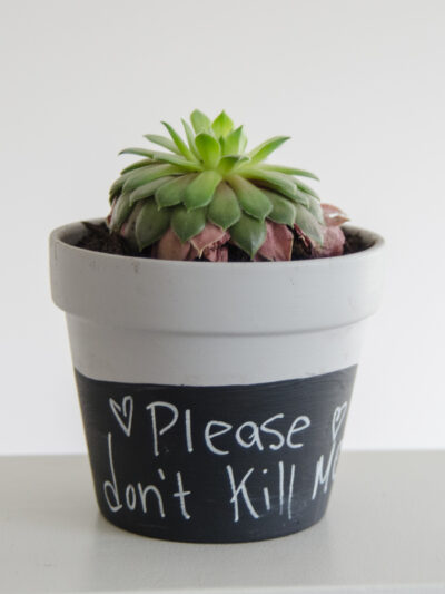 How fun are these!? DIY Chalkboard Dipped Plant Pots