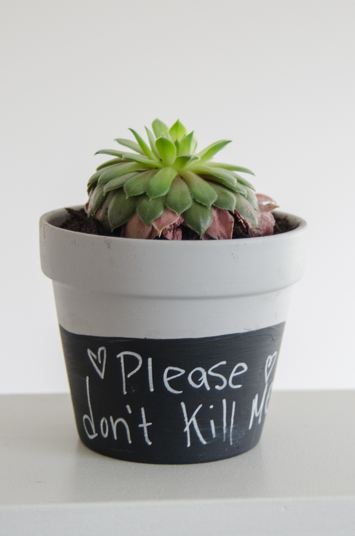How fun are these!? DIY Chalkboard Dipped Plant Pots
