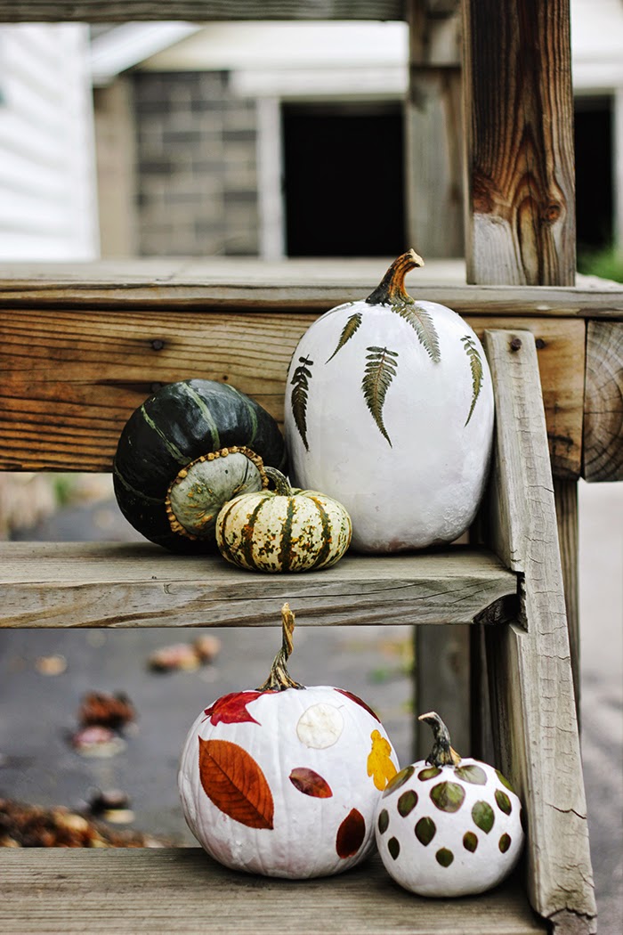 6 DIYs to Get your home Autumn Ready