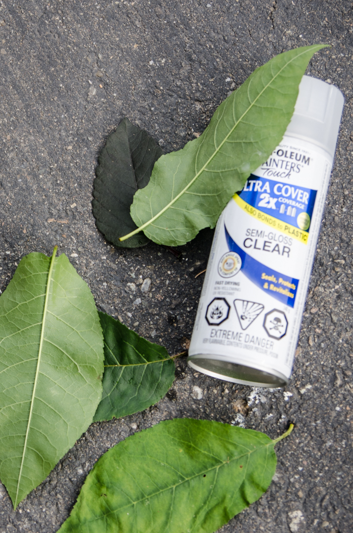 Send a note on a Leaf! 