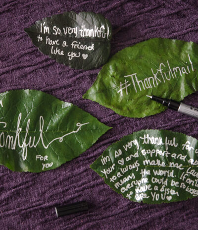 Love this idea... How to send a note on a leaf!