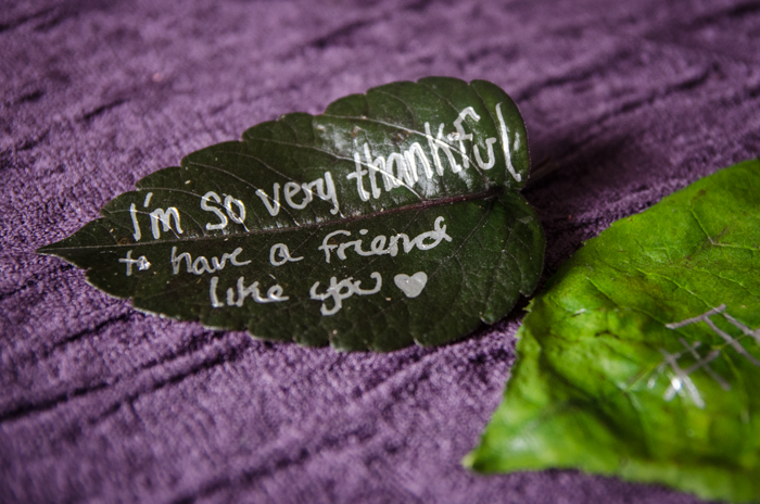 This is so much fun! How to send leaf mail!!