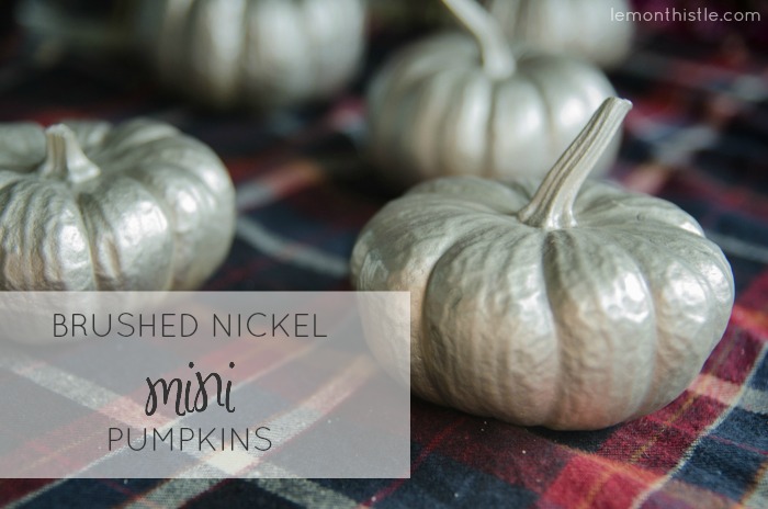 Brushed Nickel painted mini pumpkins