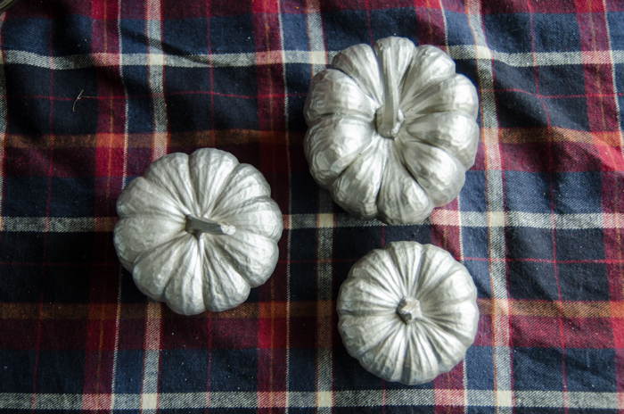 These are perfect for fall decor! Brushed Nickel painted mini pumpkins