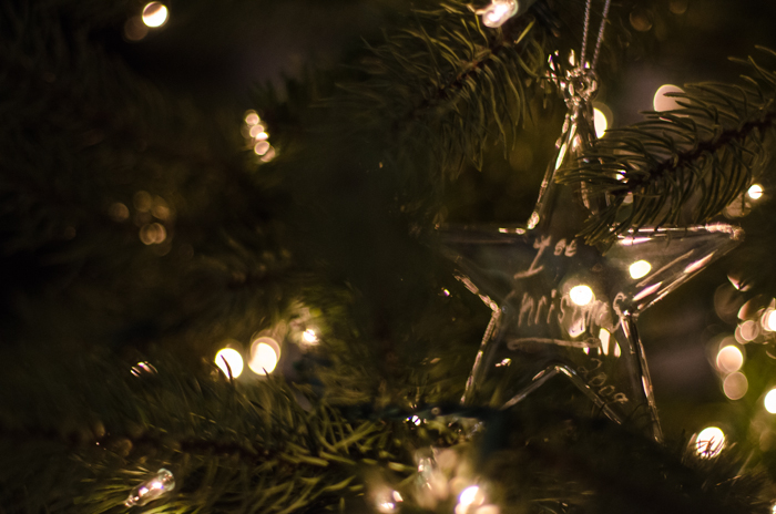 Christmas Traditions Blog Tour- Deck the Halls