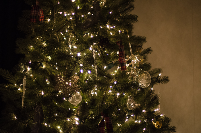 Christmas Traditions Blog Tour- Deck the Halls
