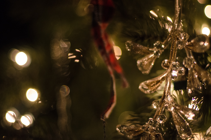 Christmas Traditions Blog Tour- Deck the Halls