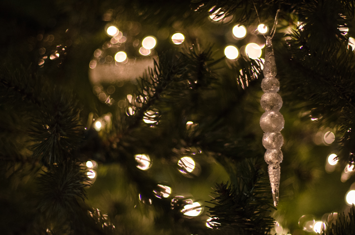 Christmas Traditions Blog Tour- Deck the Halls