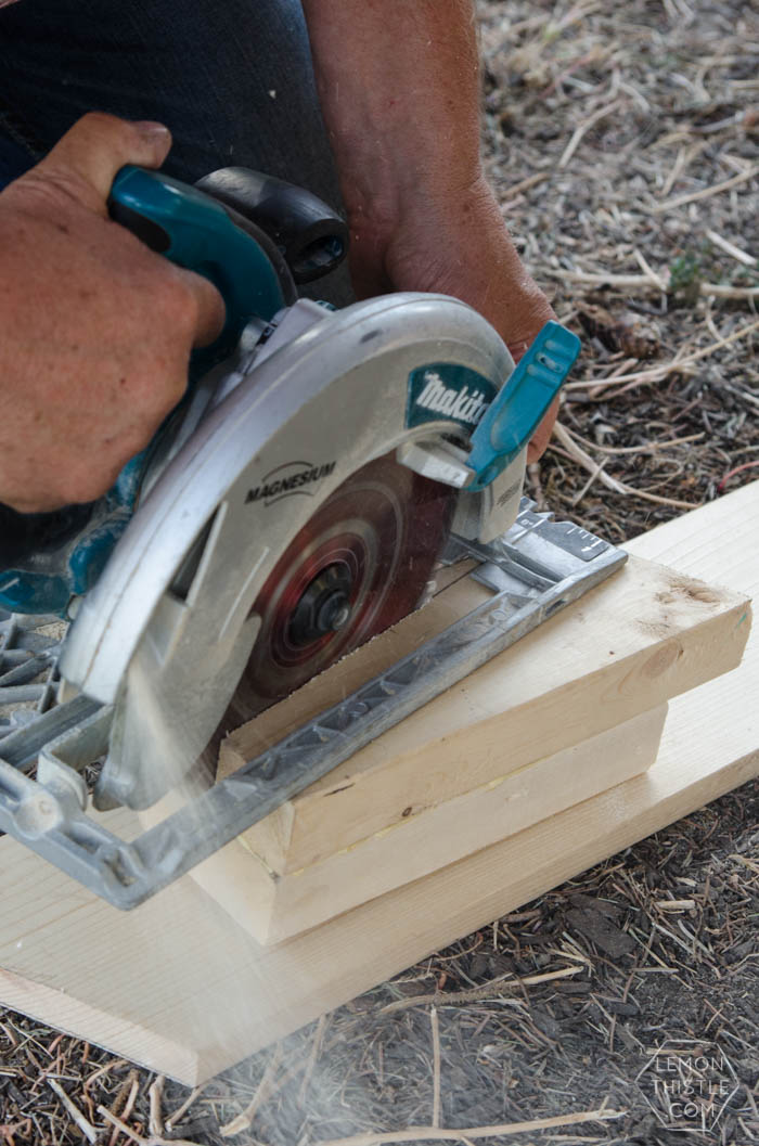 DIY Dinosaur Door Stop- An Anthropologie Knock Off!