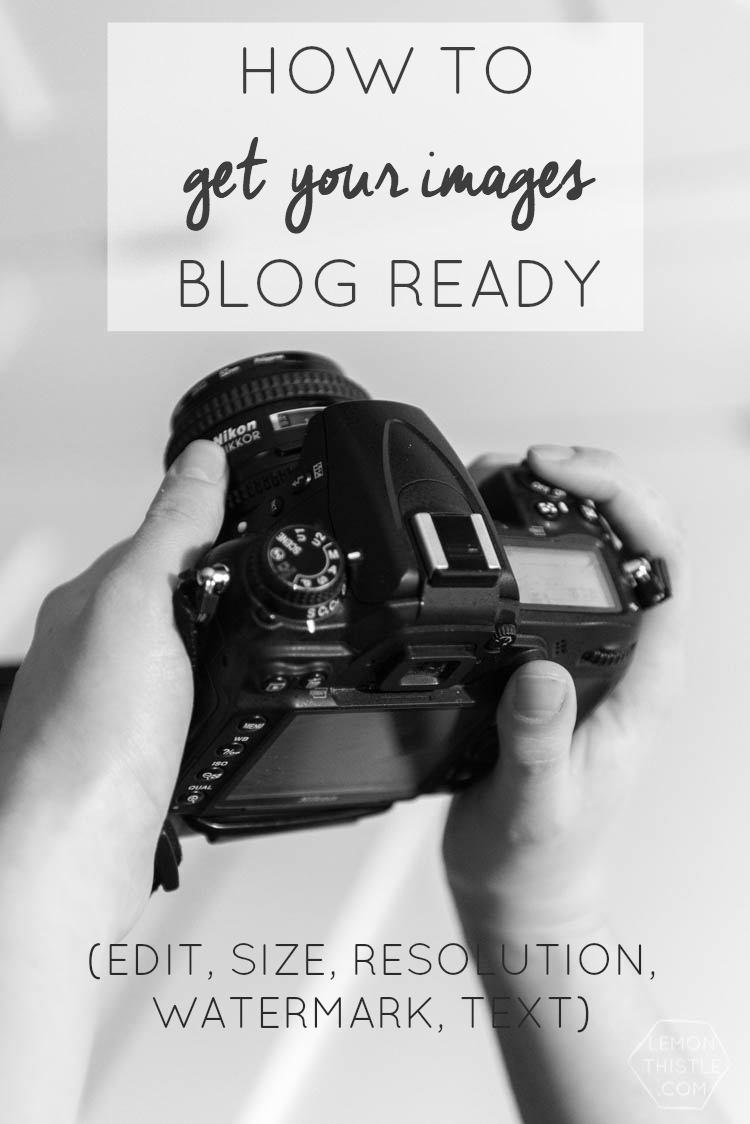 Camera to Web- Blog Photos Process (includes watermarking and sizing!)