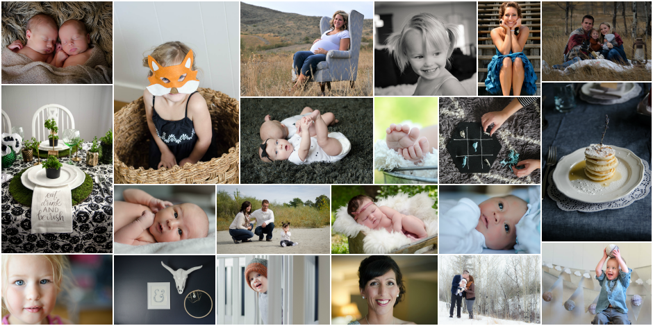 Lemon Thistle Photography