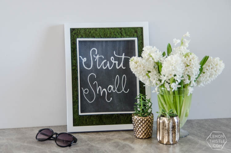 DIY Moss Framed Chalkboard- such a cool idea!