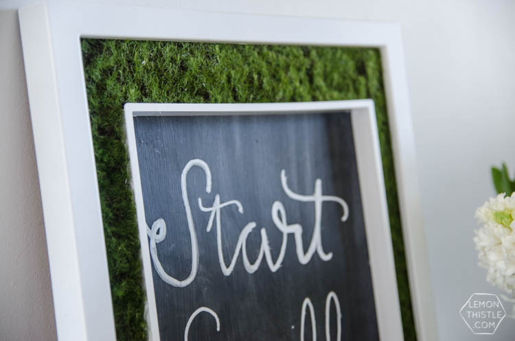 DIY Moss Framed Chalkboard- such a cool idea!