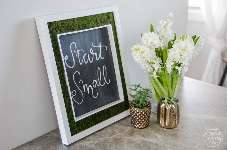 DIY Moss Framed Chalkboard- such a cool idea!