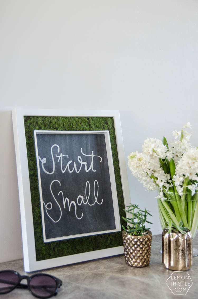 DIY Moss Framed Chalkboard- such a cool idea!