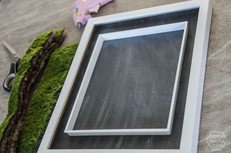 DIY Moss Framed Chalkboard- such a cool idea!