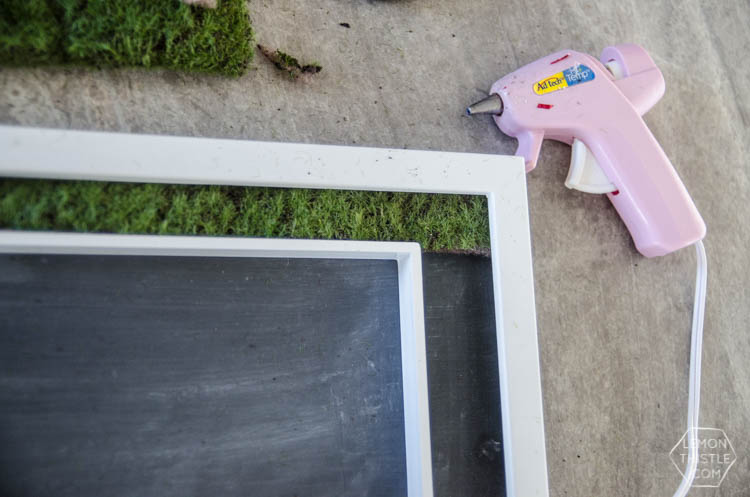 DIY Moss Framed Chalkboard- such a cool idea!