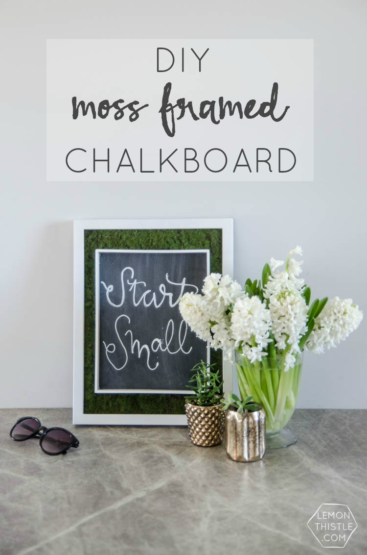 DIY Moss Framed Chalkboard- such a cool idea!
