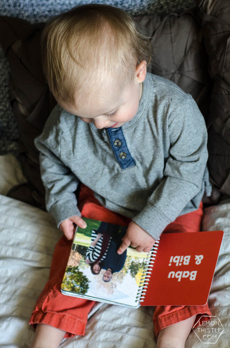 Life Lately- Our new favourite book