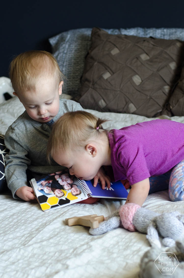 Life Lately- Our new favourite book