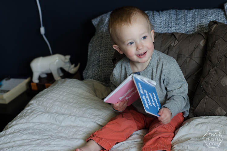 Life Lately- Our new favourite book