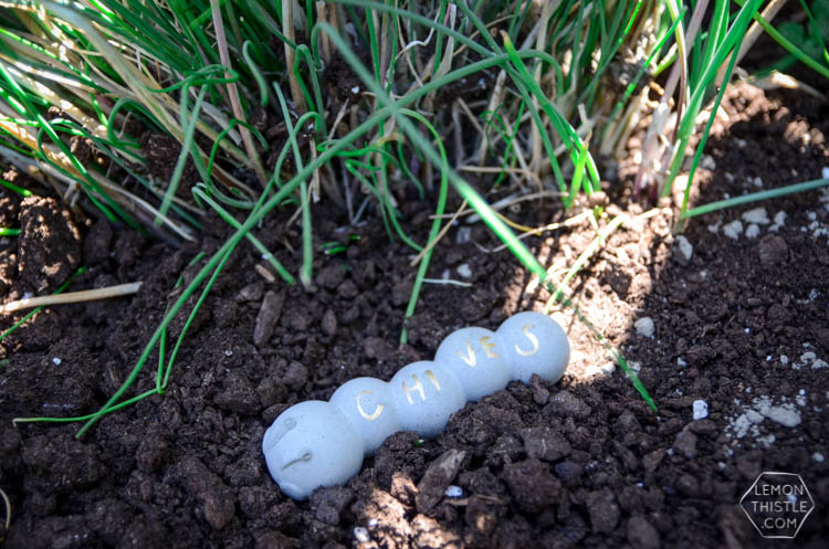 DIY Cement Garden Markers- from ice cube trays!