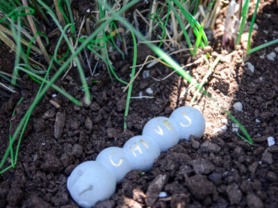 DIY Cement Garden Markers- from ice cube trays!
